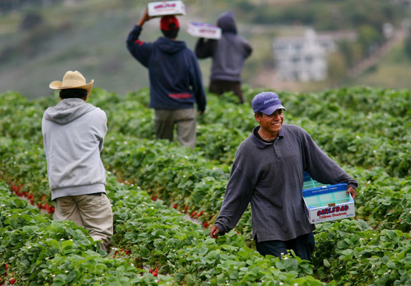 Zapatista Development: Local Empowerment and the Curse of Top-Down ...